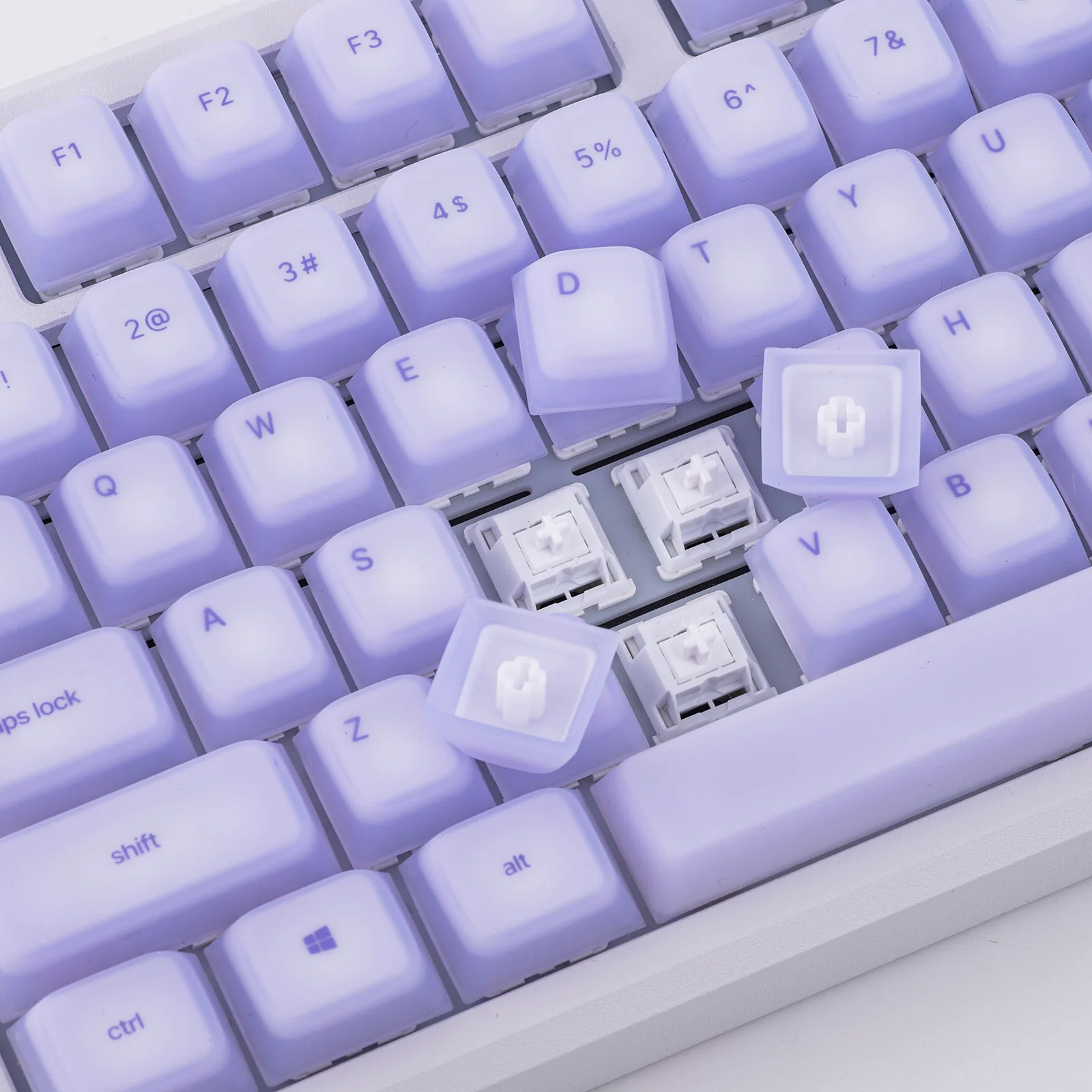 Thumbnail 15